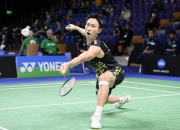 AYX体育赛事-德国队逆转日本队，桃田贤斗点燃赛场