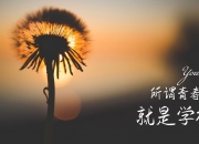 AYXapp下载-乌克兰碾压巴拉圭背后，凯恩化身关键先生，诠释现代足球胜负新逻辑