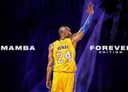 AYXapp下载-从球场到赛道，当奇才击溃黄蜂，拉梅洛的F1年度争冠野望如何接管比赛？