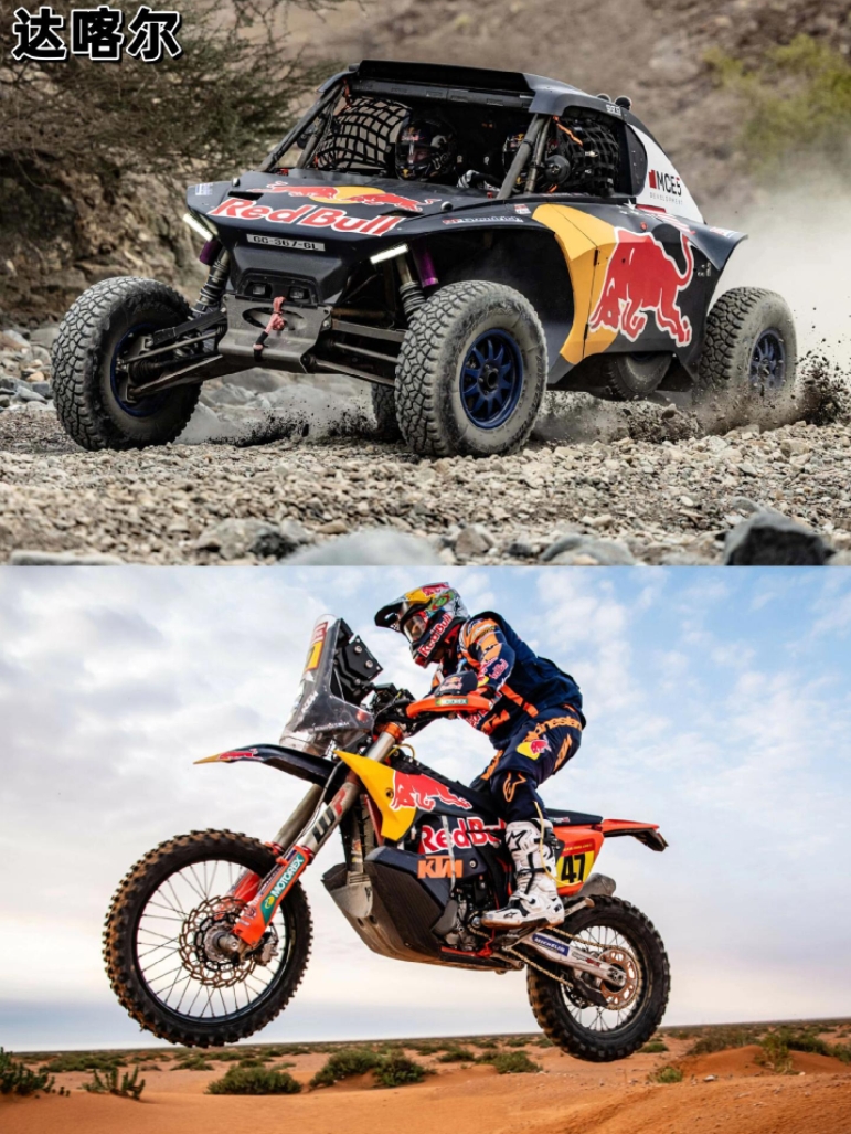 红牛二队力克雷诺车队,诺里斯惊艳四座 红牛二队力克雷诺车队,诺里斯惊艳四座