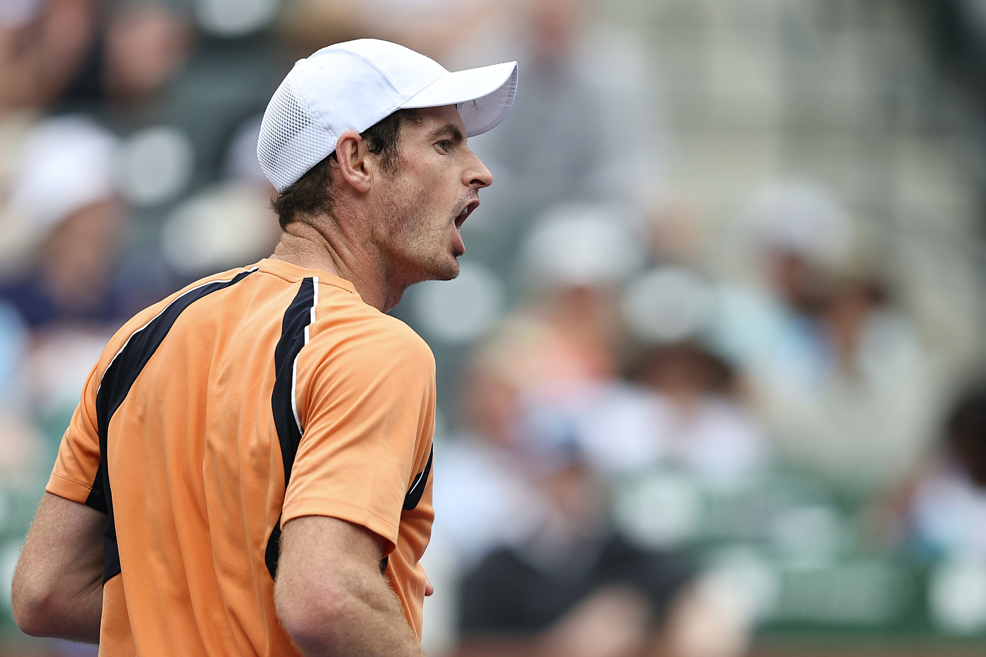 德国网球队力克英国网球队，穆雷完成帽子戏法