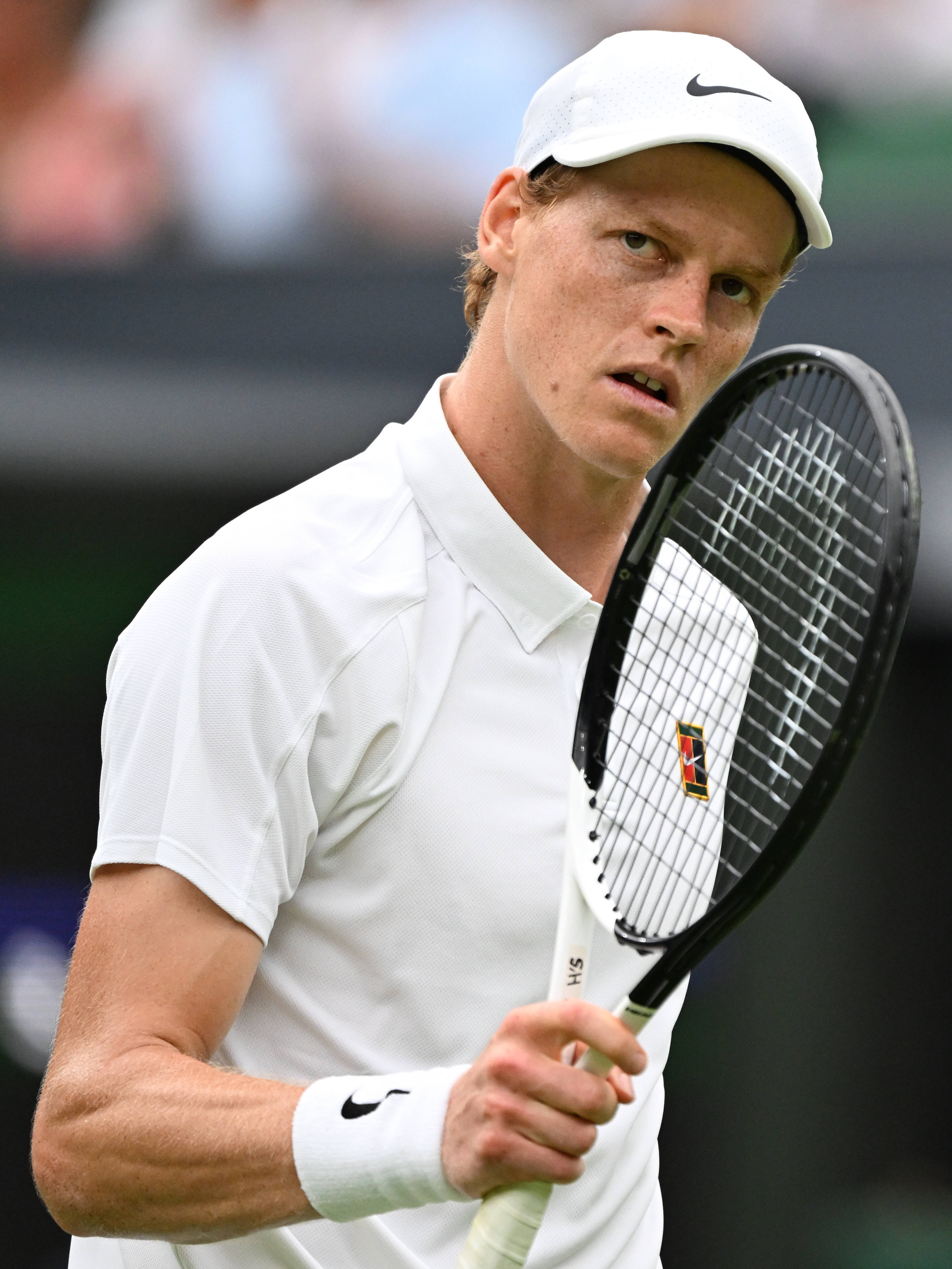 温网翻盘蒙特卡洛大师赛，辛纳惊艳四座